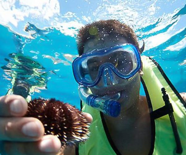 Oahu: Hilton Hawaiian Village Morning Snorkel with Lunch – Honolulu, Hawaii