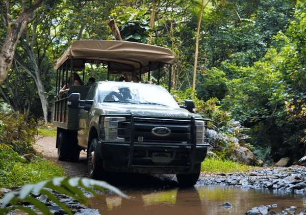 Oahu: Kualoa Open Air Jungle Expedition Tour – Kaneohe, Hawaii