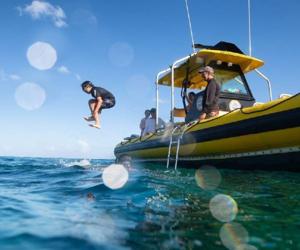 Oahu: North Shore Snorkeling Tour from Haleiwa – , Hawaii