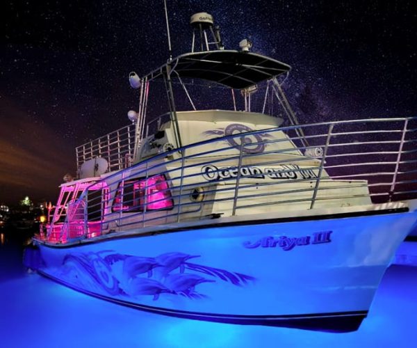 Oahu: Premium Waikiki Sunset Party Cruise with Live DJ – Honolulu, Hawaii