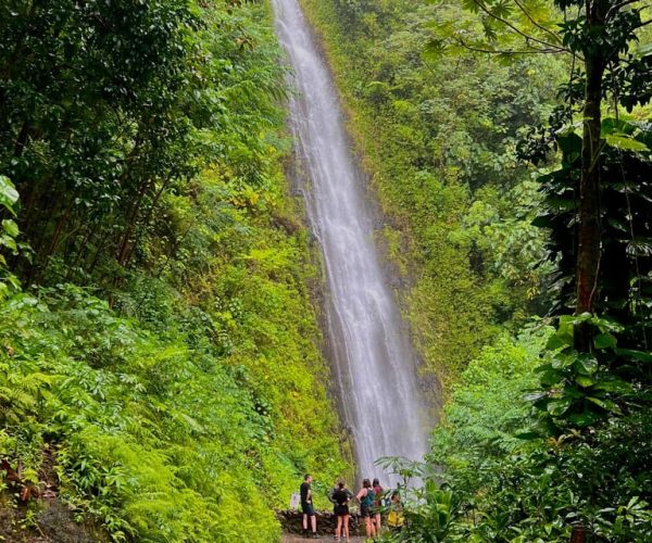 Oahu: Private Circle Island Tour featuring Manoa Falls Hike – Honolulu, Hawaii