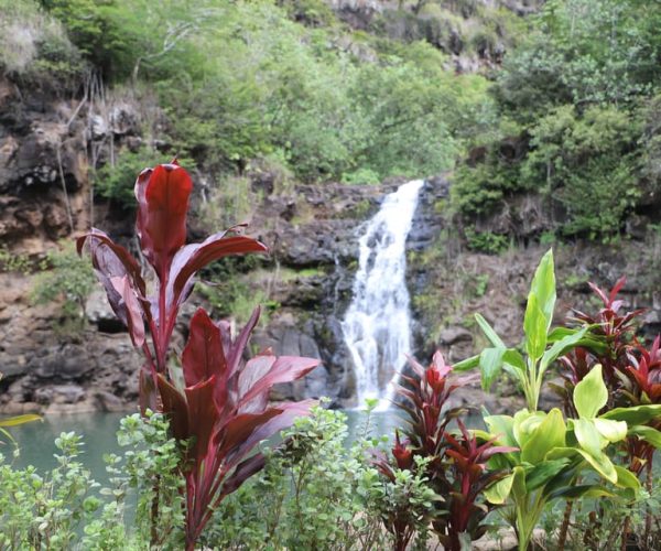 Oahu: Valley of Waimea Falls Swim & Hike with Lunch & Dole – Hawaii, United States