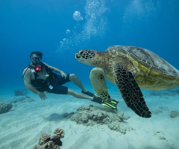 Oahu: Waikiki Discovery Scuba Diving for Beginners – Honolulu, Hawaii