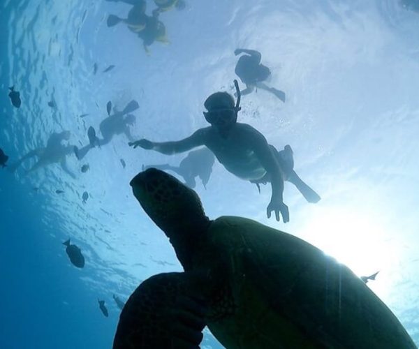 Oahu: Waikiki Turtle Snorkeling Adventure Cruise – Honolulu, Hawaii