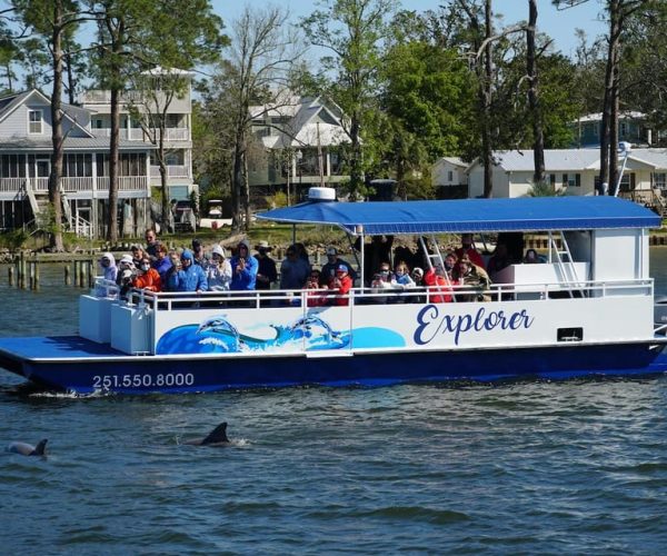 Orange Beach: Dolphin-Watching Eco-Boat Tour – Orange Beach, Alabama