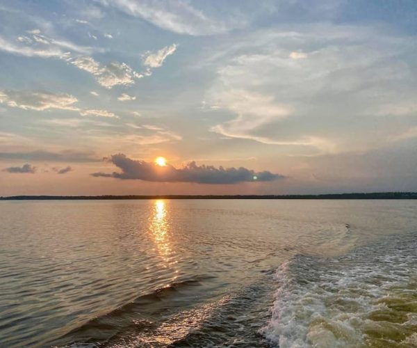 Orange Beach: Dolphin-Watching Sunset Catamaran Cruise – Orange Beach, Alabama