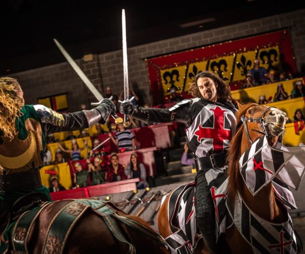 Orlando: Medieval Times Dinner and Show Ticket – Kissimmee, Florida