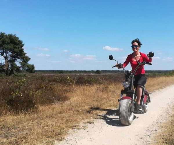 Otterlo: E-chopper rental – De Hoge Veluwe National Park, Netherlands