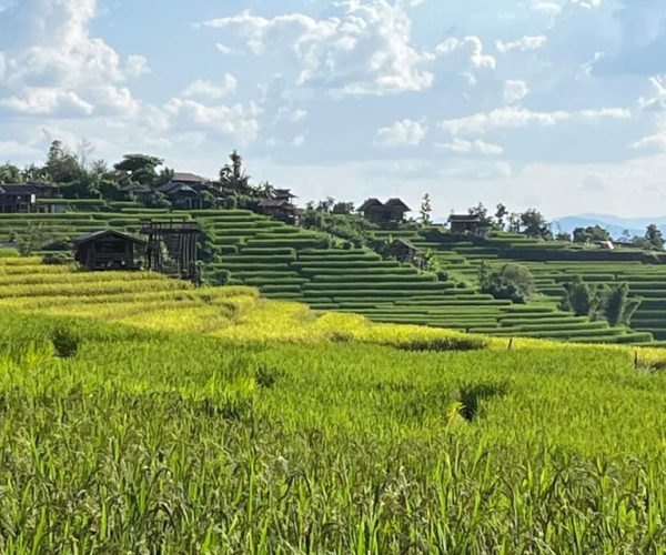 Pa Pong Piang Rice Terraces & Doi Inthanon National Park – Chiang Mai Province, Thailand