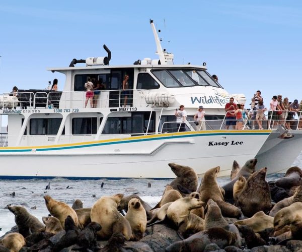 Philip Island: Seal Watching Cruise – Victoria, Australia, Australia