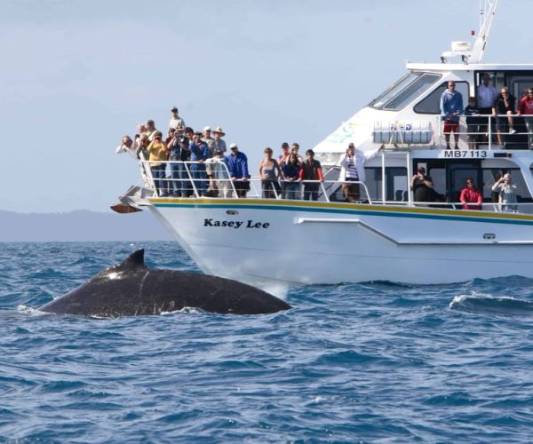 Phillip Island: Whale Watching Boat Tour – Victoria, Australia, Australia