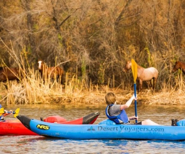 Phoenix & Scottsdale: Lower Salt River Kayaking Tour – Salt River, Arizona