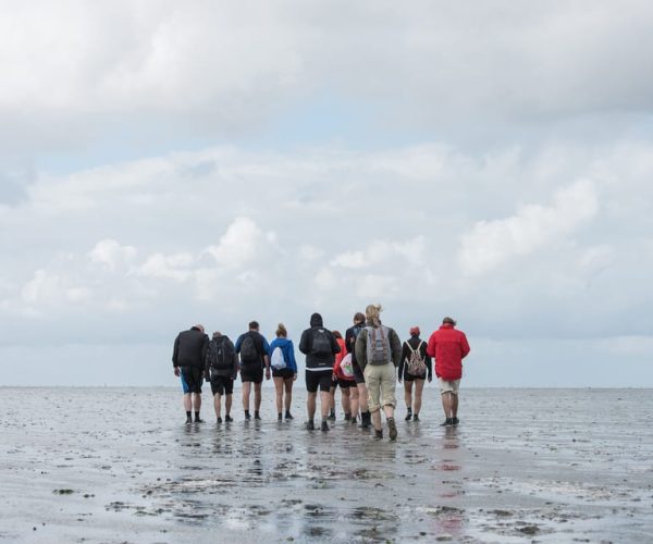 Pieterburen: Wadden Sea Mudflats Guided Walking Tour – Groningen (Province), Netherlands