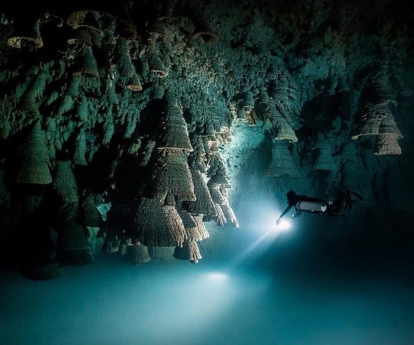 Playa del Carmen: Cenote Essentials – Next-Level Cavern Dive – Playa del Carmen, Mexico