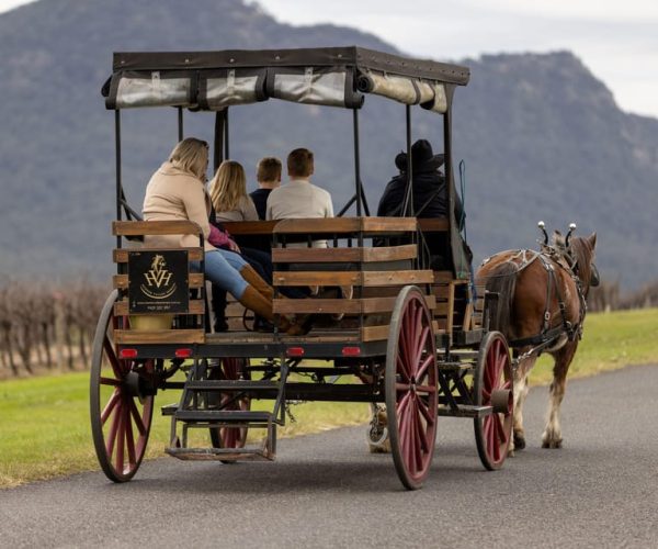 Pokolbin: Harvest the Hunter Horse Drawn Carriage Tour 3hrs – Pokolbin, Australia