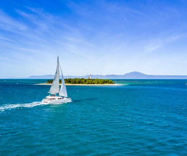 Port Douglas: Reef & Low Isles Cruise on Luxury Catamaran – Low Isles, Australia