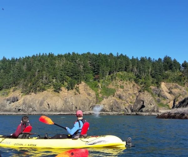 Port Orford: Kayak Tour to Orford Heads with Gear – Port Orford, Oregon