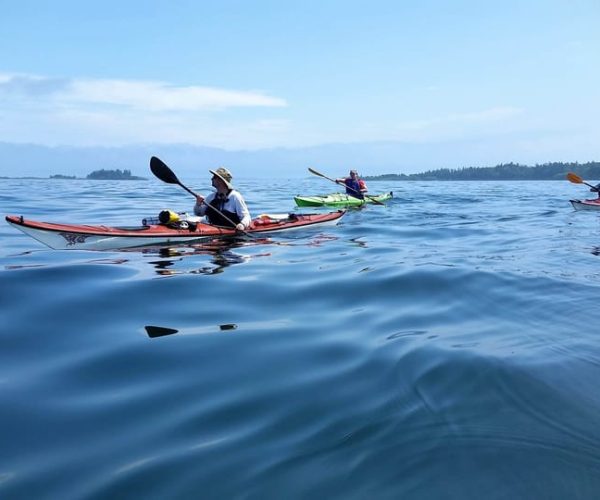 Portland, Maine: Casco Bay Full-Day Kayaking Tour – Portland, Maine