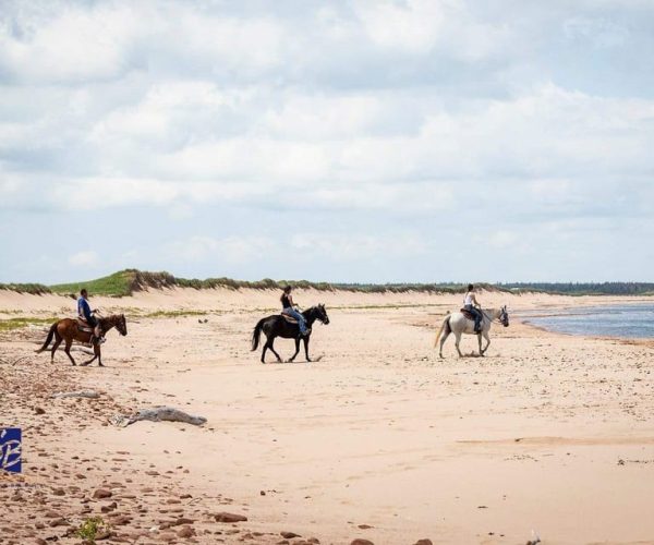 Prince Edward Island: Beginner Horse Ride On The Beach – , Canada