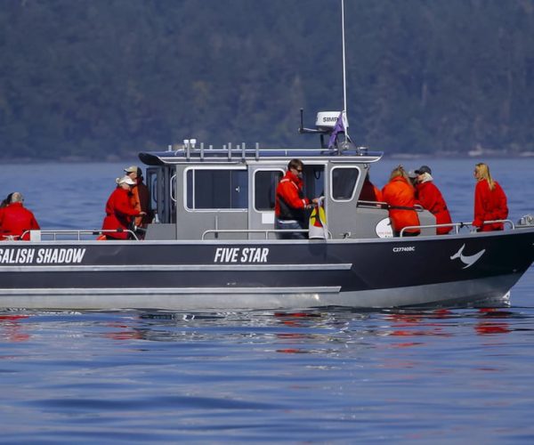 Private Charter – Marine Life and Whale-Watching Boat Tour – British Columbia, Canada