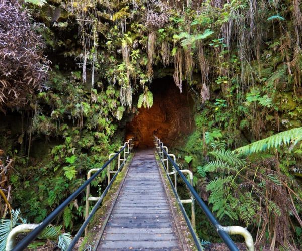 Private Custom Volcanoes National Park Guided Hike – Hawaii Volcanoes National Park, Hawaii