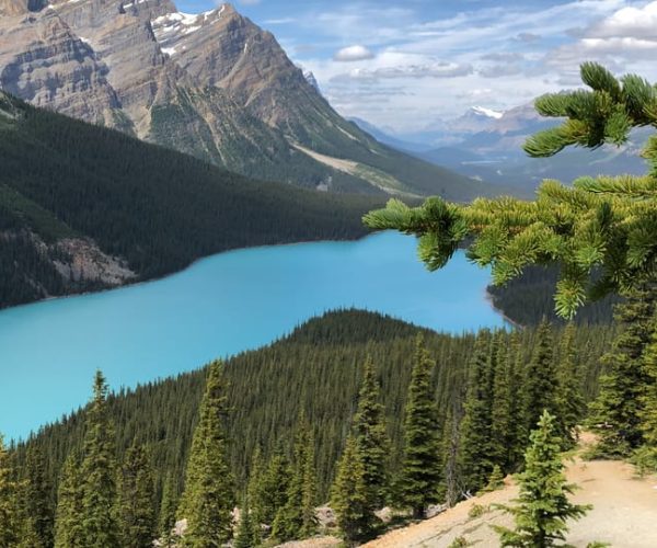 Private Icefields Parkway Tour w/ Lake Louise & Moraine Lake – Alberta, Canada