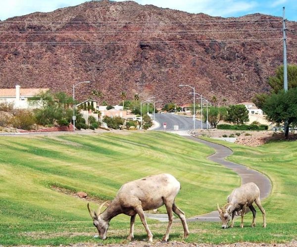 Private tour from Las Vegas to Boulder City and Hoover Dam – Lake Mead, Nevada