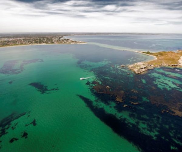 Rockingham: Shoalwater Islands Tour and Penguin Island – Western Australia, Australia