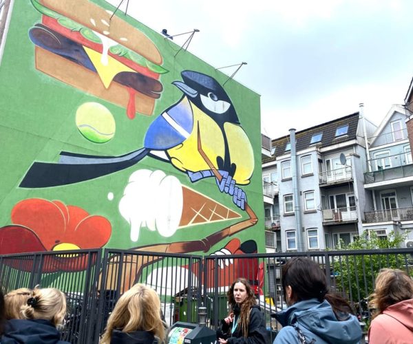 Rotterdam Street Art tour: Including specialised guide – South Holland, Netherlands