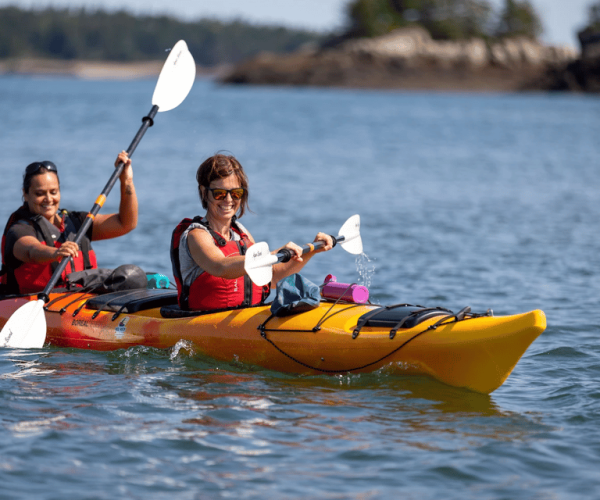 Saint John: Bay of Fundy Guided Kayaking Tour with Snack – Fundy National Park Of Canada, Canada