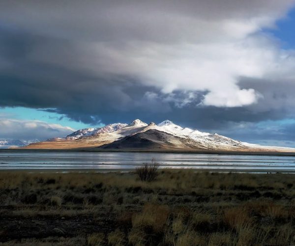 Salt Lake City: Great Salt Lake Antelope Island Guided Tour – Great Salt Lake, Utah