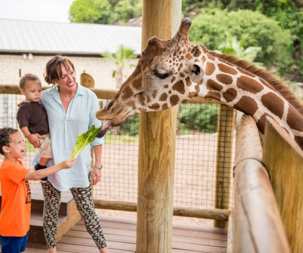 San Antonio: San Antonio Zoo Any Day Ticket – San Antonio, Texas