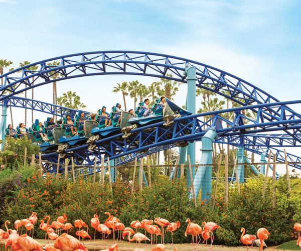 San Diego: SeaWorld Skip-the-Line Park Admission Ticket – San Diego, California