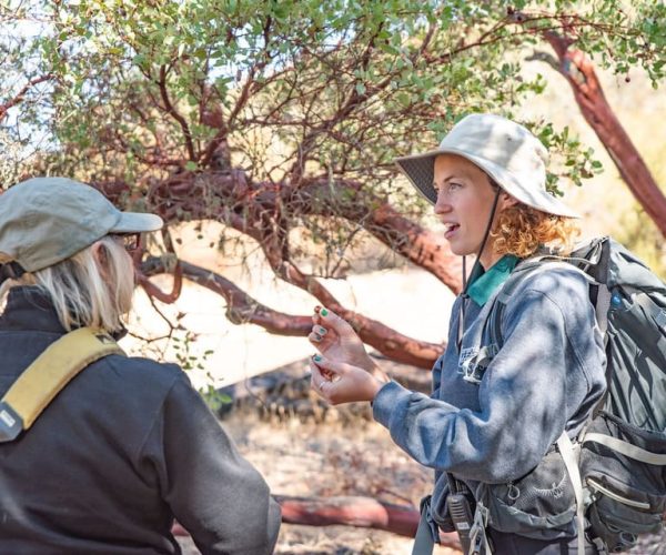 San Luis Obispo: Margarita Ranch Foraging Tour – Santa Margarita Ranch, California