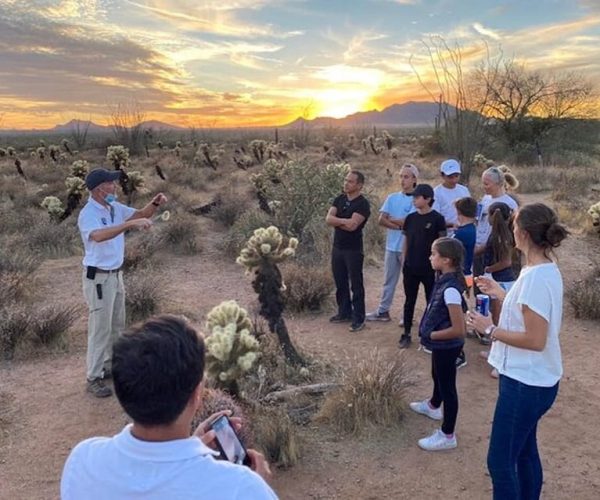 Scottsdale: McDowell Sonoran Preserve Hiking Tour – Phoenix, Arizona