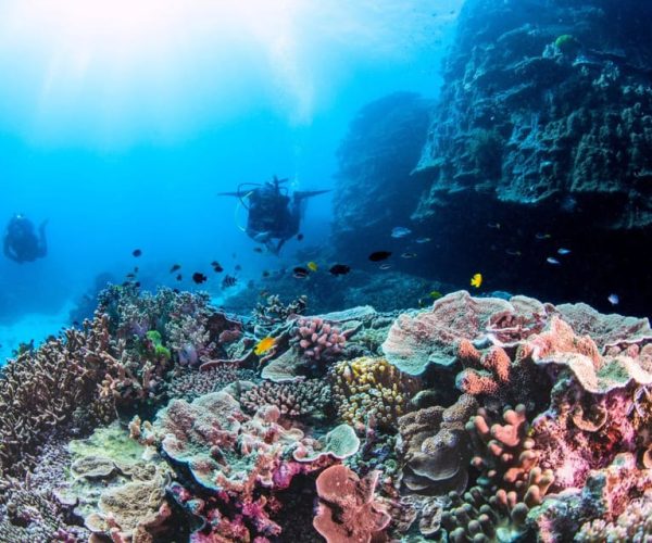 Scuba Diving Day Trip on the Southern Great Barrier Reef – Queensland, Australia