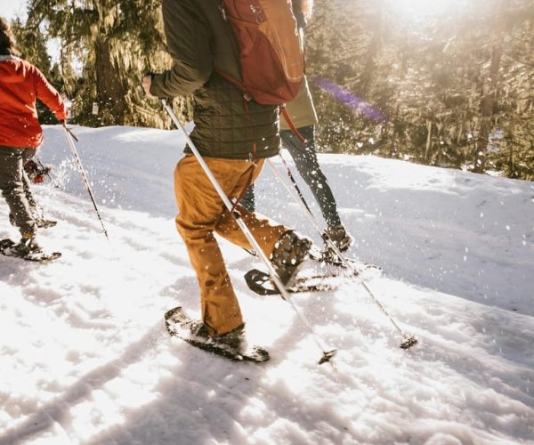 Seattle: Longmire in Mount Rainier Winter Day Tour – Mount Rainier National Park, Washington