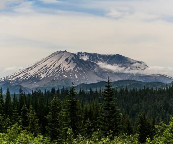 Seattle: Mt. St. Helens National Monument Small Group Tour – Castle Rock, Washington