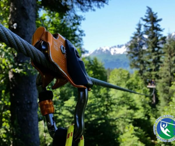 Seward: Stoney Creek Canopy Tour with Zipline – Seward, Alaska