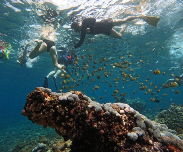 Snorkeling Adventure with Lucky Snorkeling – Bali, Indonesia