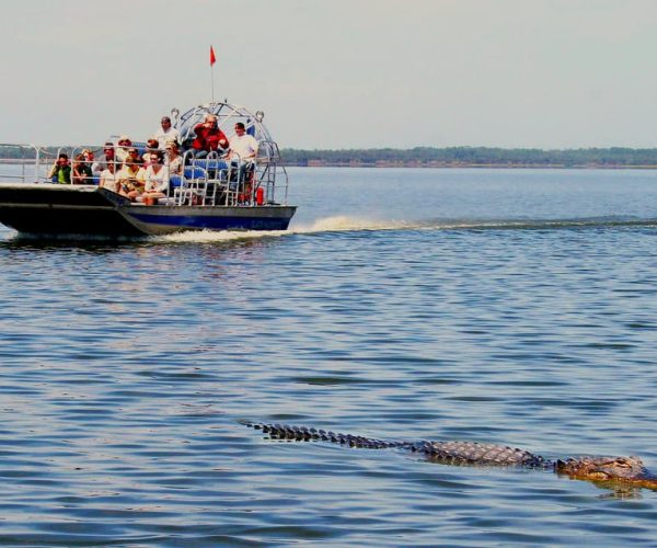 South Beach: Everglades Wildlife Airboat Tour – Miami, Florida