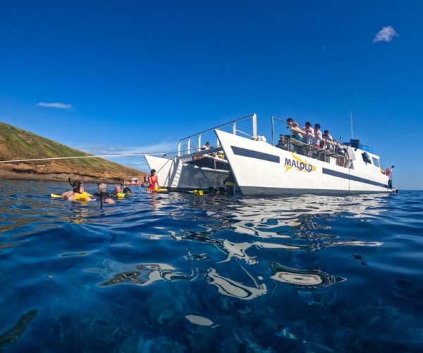 South Maui: PM Snorkel to Coral Gardens or Molokini Crater – Kihei, Hawaii