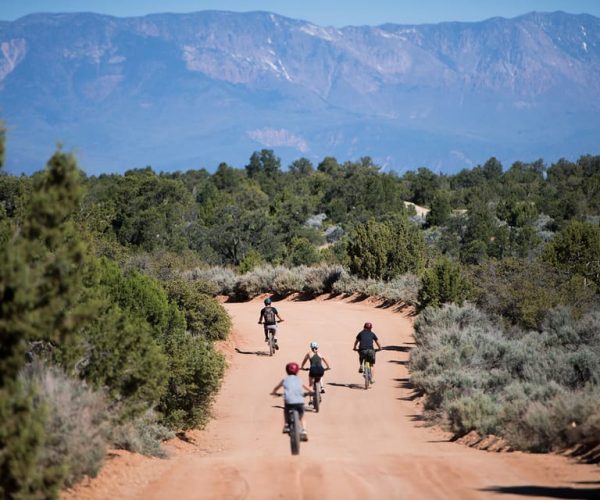 Springdale: Half-Day Mountain Biking Adventure – Zion Canyon, Utah