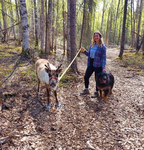 Talkeetna: A Walk in the Woods…with Reindeer! – Talkeetna, Alaska