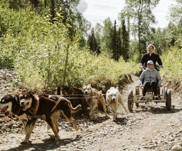 Talkeetna: Mushing Experience with Iditarod Champion Dogs – Talkeetna, Alaska