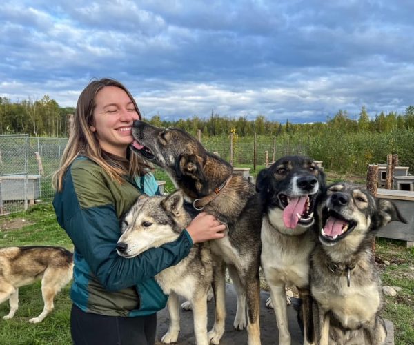 Talkeetna: Summer Sled Dog Kennel Tour – Talkeetna, Alaska