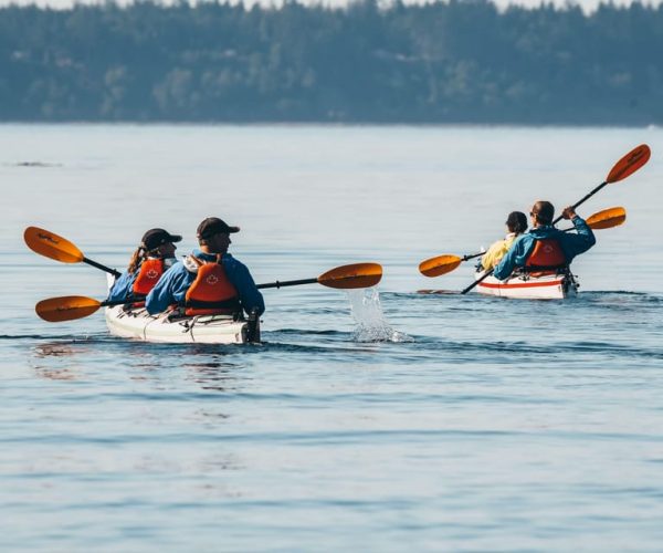 Telegraph Cove: Day Trip Kayaking Tour – British Columbia, Canada