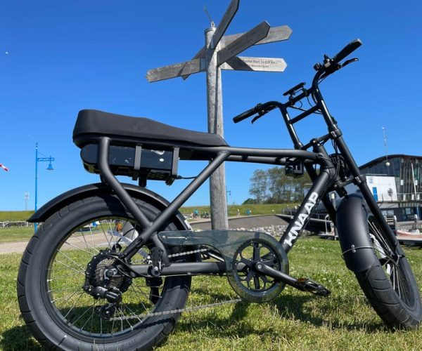 Texel: Electric Fatbike Rental – North Holland, Netherlands