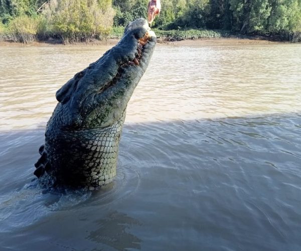 The best tour of Litchfield and crocodiles on the river – Litchfield National Park, Australia