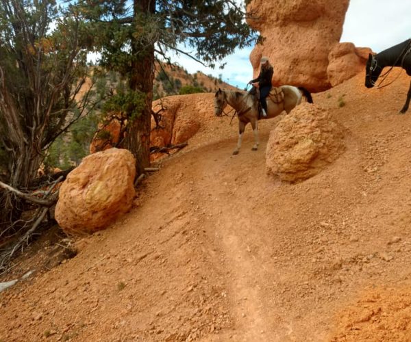 Thunder Mountain Trail: Scenic Horseback Ride – Thunder Mountain Trail, Utah